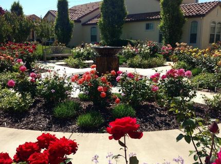 1376 Volonne Dr, Roseville, CA 95747 Photo