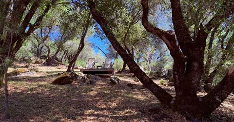2021 Cedarville Rd, Somerset, CA 95684 Photo