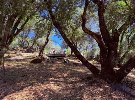 2021 Cedarville Rd, Somerset, CA 95684 Photo