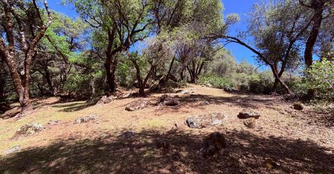 2021 Cedarville Rd, Somerset, CA 95684 Photo