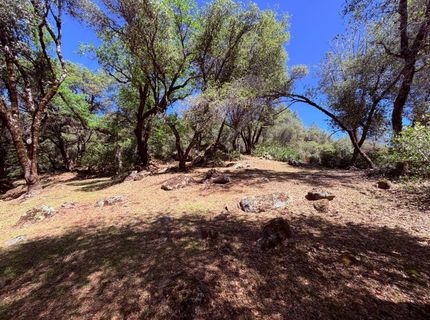2021 Cedarville Rd, Somerset, CA 95684 Photo