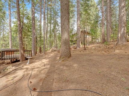 4949 Steelhead Ln, Pollock Pines, CA 95726 Photo