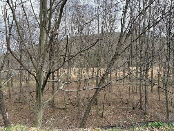 0 Philson Rd , Glencoe, PA 15543