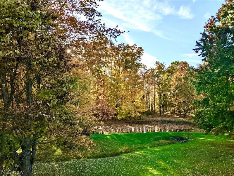 2975 Brown Road, Ashtabula, OH 44004 Photo 15