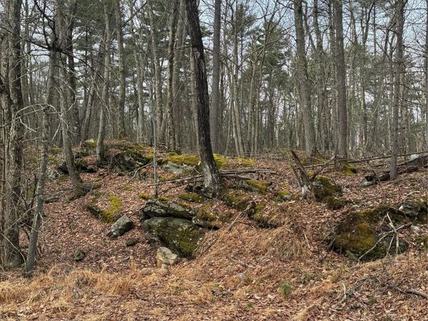 Rambling Road, Wurtsboro, NY 12790