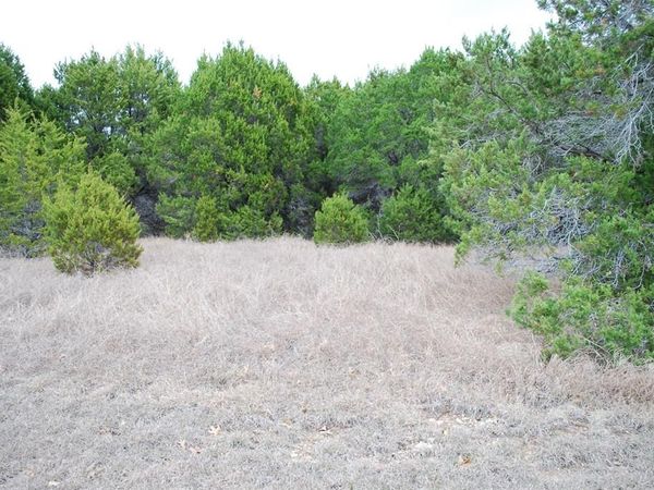 43111 Indian Blanket Drive , Whitney, TX 76692