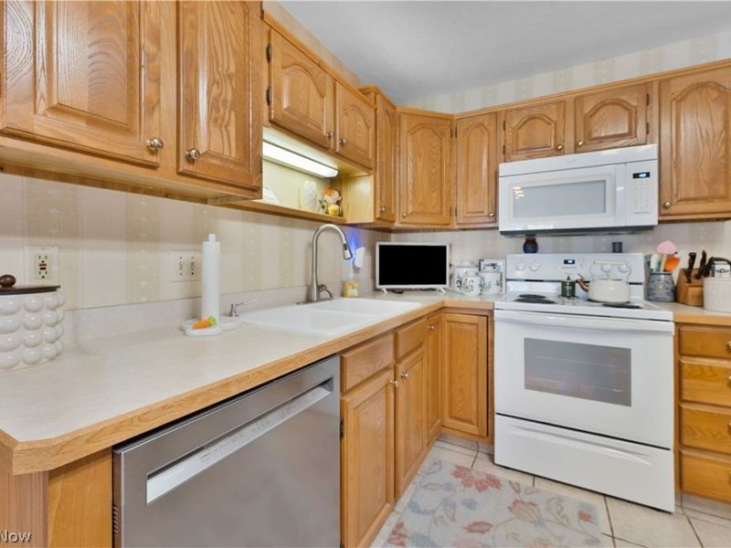 101 Pin Oak Place, Campbell, OH 44405 Photo 9