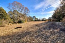 4190 Muriel Street  photo 4