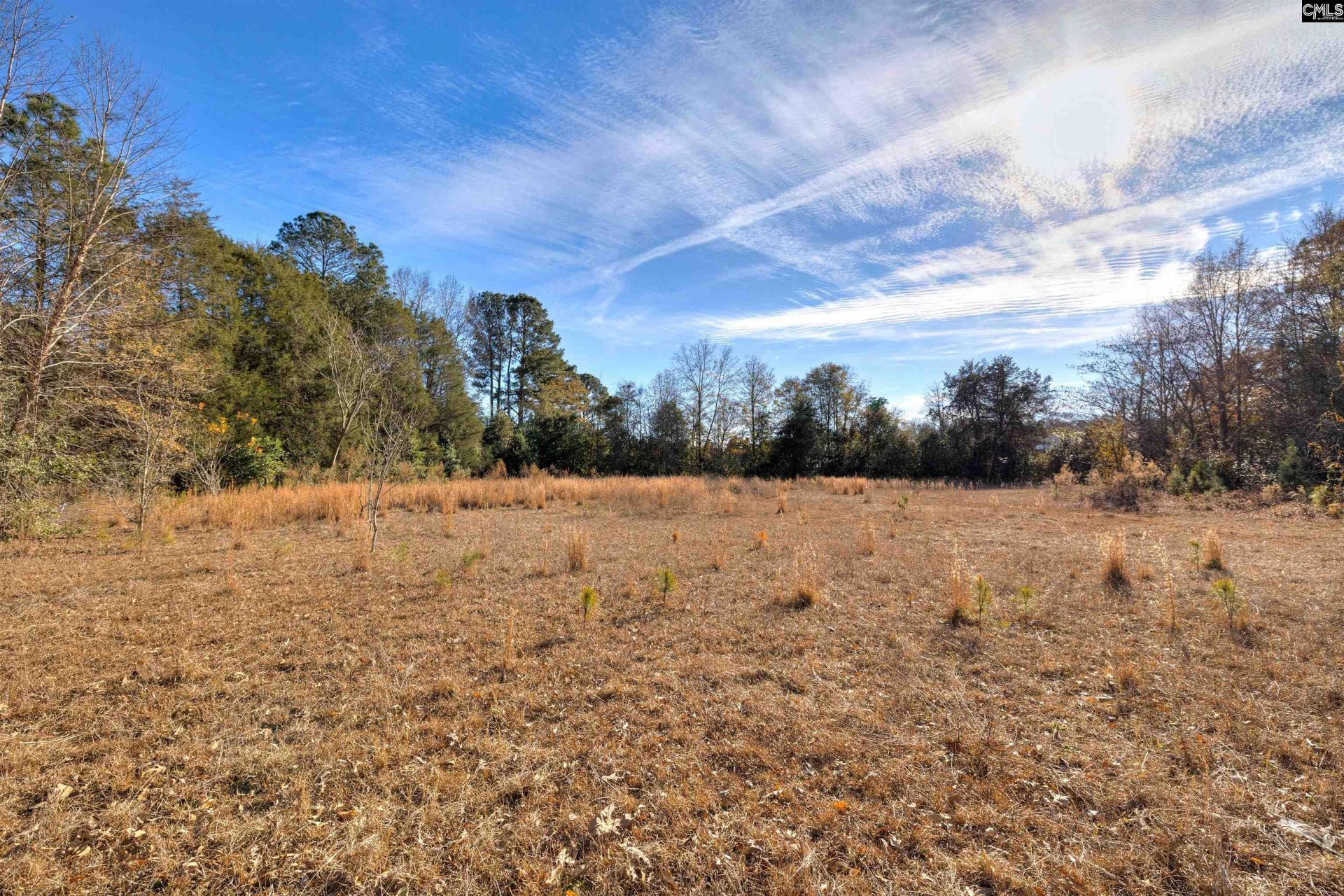 4190 Muriel Street  Photo 8