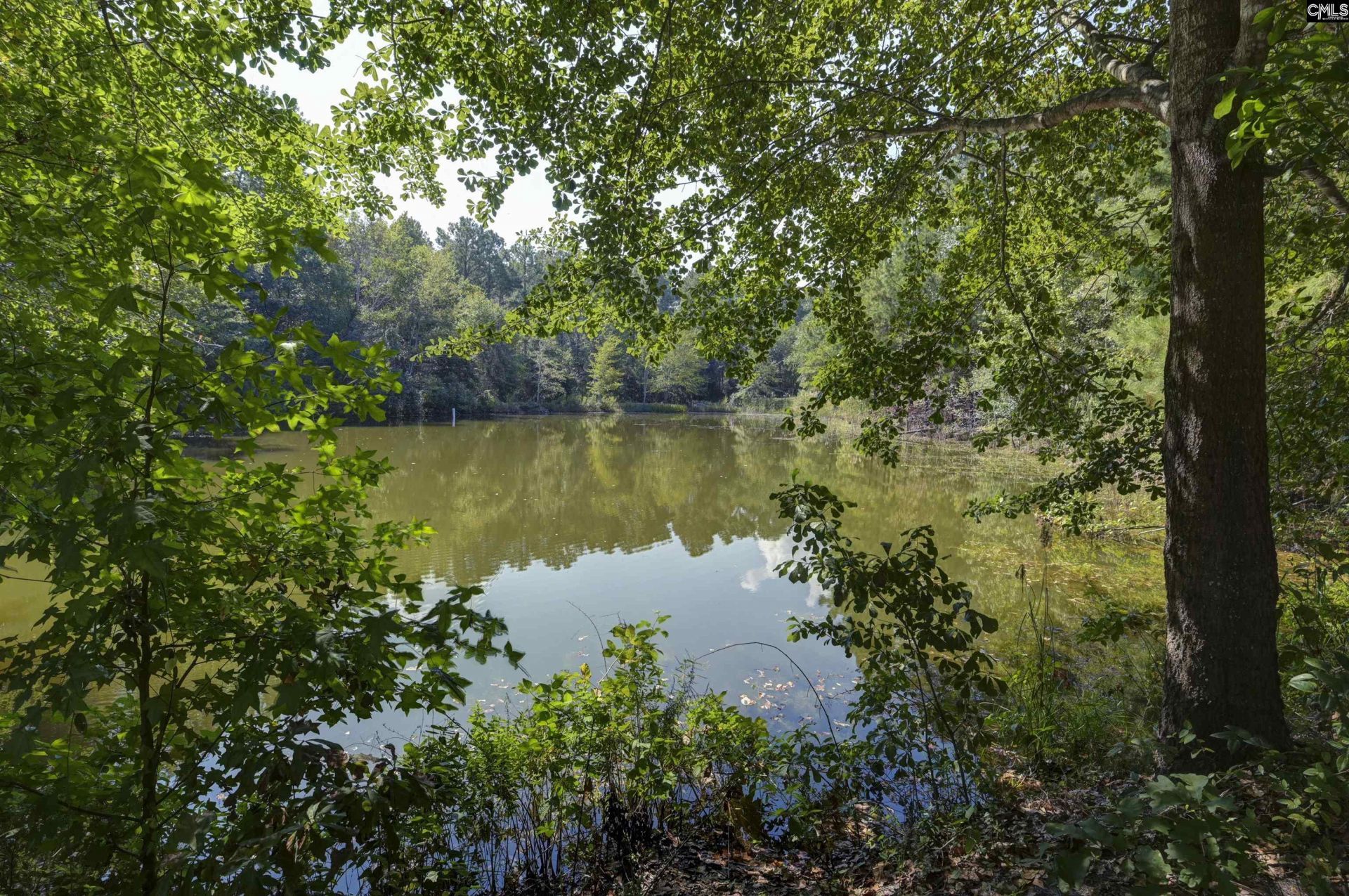 505 Lost Branch Road  Photo 6