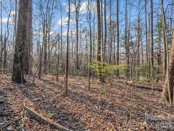 TBD Mountain Lakes Drive , Tryon, NC 28782
