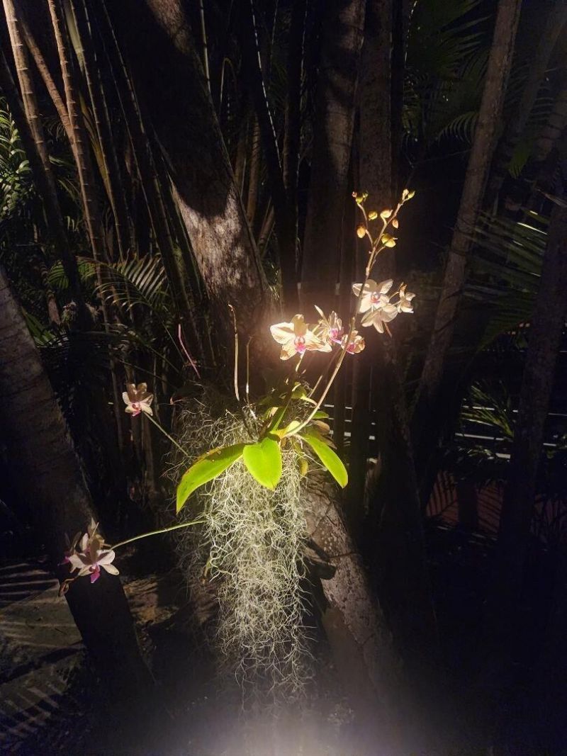 3513 Sunrise Drive, Key West, FL 33040 Photo