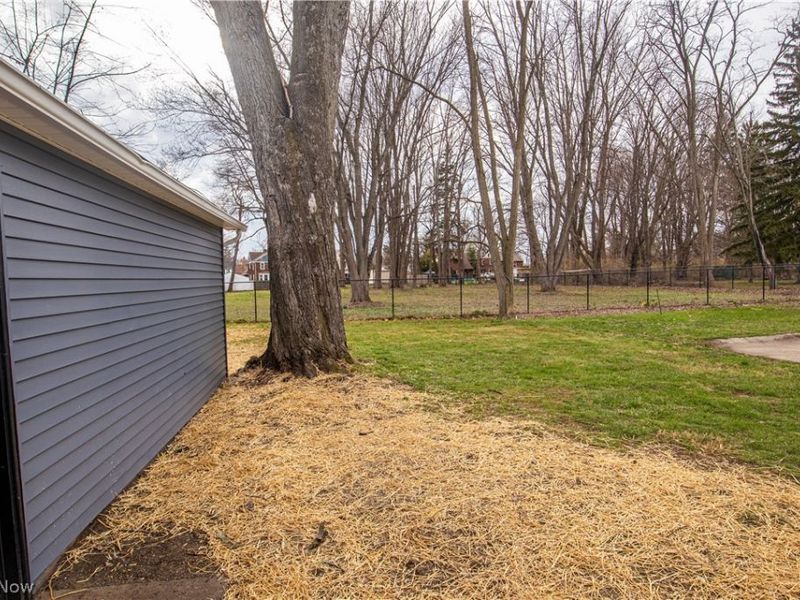 112 Chestnut Street, Painesville, OH 44077 Photo 6