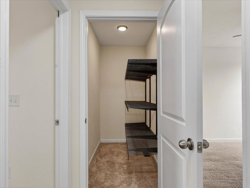 101 Bigelow Drive, Johnstown, OH 43031 Photo 33