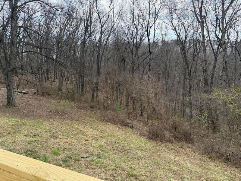 3190 Chicken Coop Hill Road SE, Lancaster, OH 43130 Photo 14