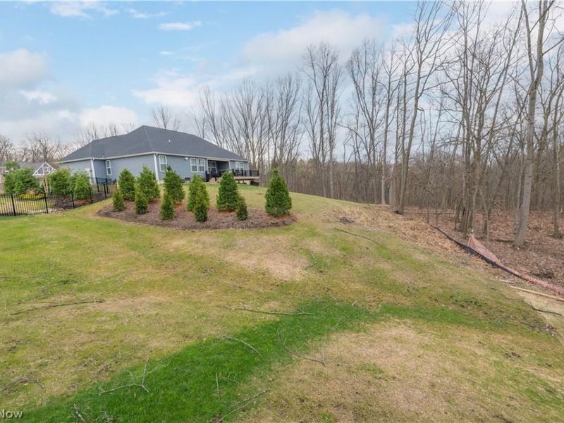 4442 Chaseline Ridge , Brunswick, OH 44212 Photo 44