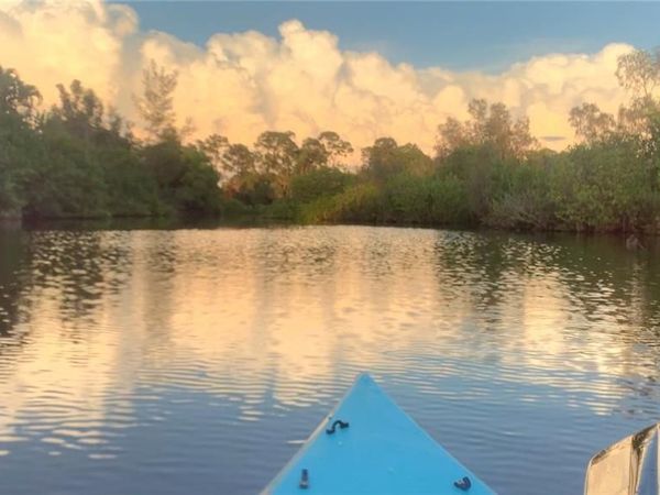 4084 New Moon CT , NAPLES, FL 34112