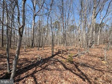 COUNTRYSIDE LANE - LOT 1 , LIGNUM, VA 22726