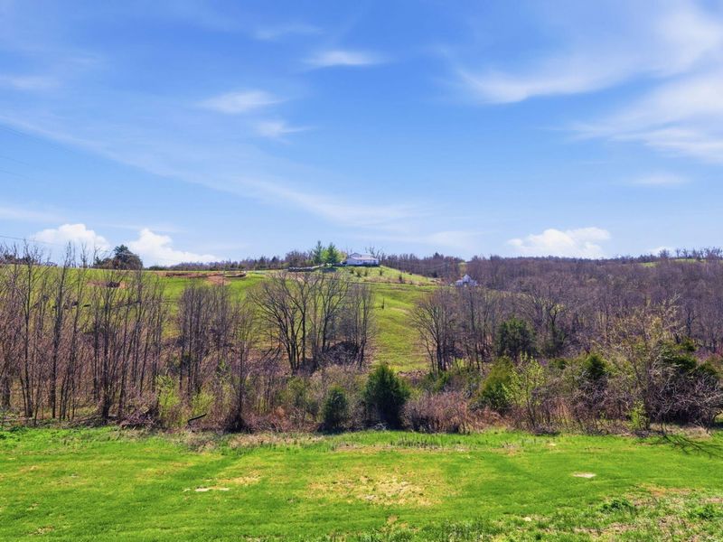 2455 Baker Williams Road, Corinth, KY 41010 Photo 12