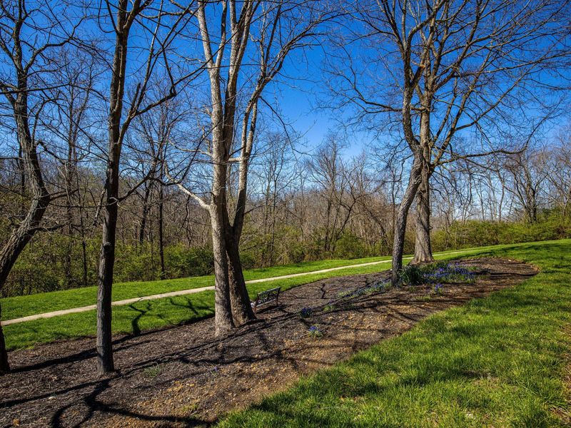 35 Springhouse Drive, Cold Spring, KY 41076 Photo 32