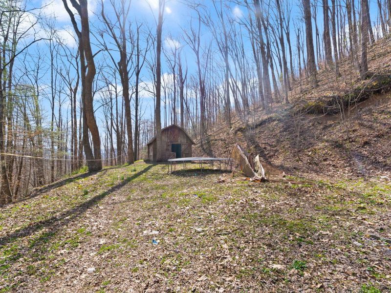 1197 Beans Fork Road, Middlesboro, KY 40965 Photo 10