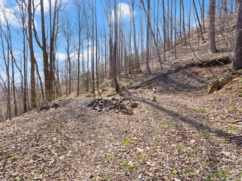 1197 Beans Fork Road, Middlesboro, KY 40965 Photo 13