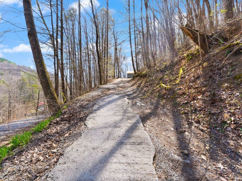 1197 Beans Fork Road, Middlesboro, KY 40965 Photo 3