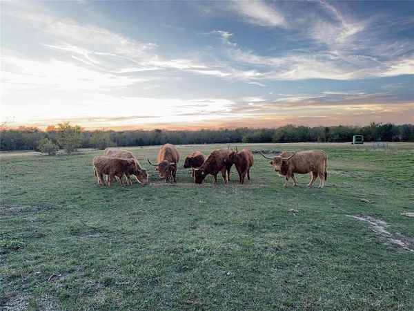 4081 FM 2736, Unit A, Campbell, TX 75422