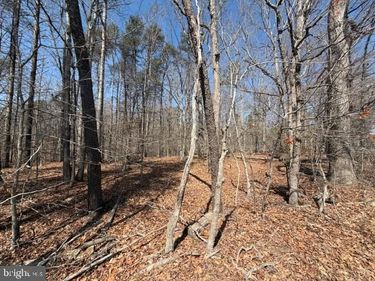 COUNTRYSIDE LANE - LOT 2 , LIGNUM, VA 22726