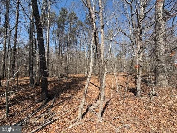 COUNTRYSIDE LANE - LOT 2 , LIGNUM, VA 22726