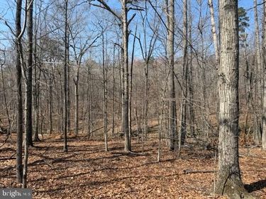 COUNTRYSIDE LANE - LOT 3 , LIGNUM, VA 22726