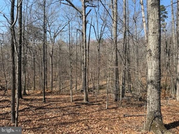 COUNTRYSIDE LANE - LOT 3 , LIGNUM, VA 22726