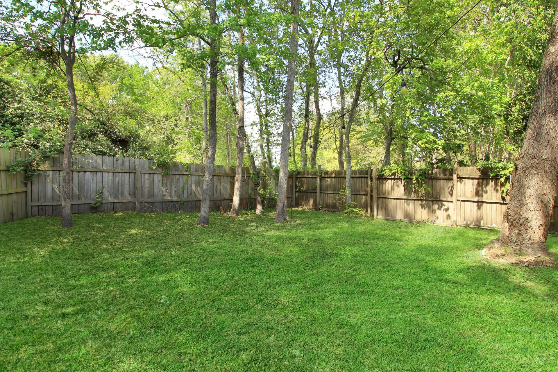 2104 Razorback Lane Photo 39