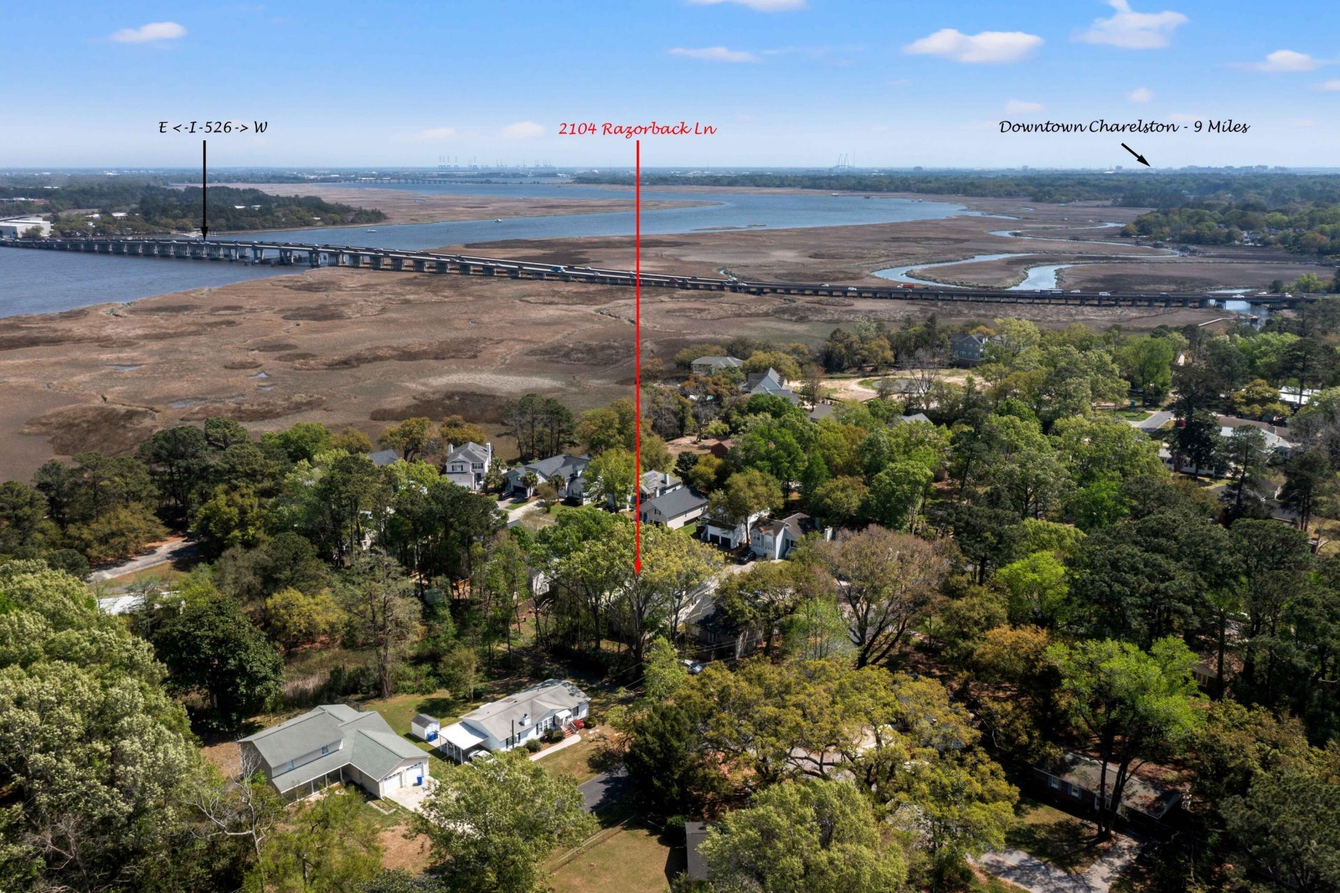 2104 Razorback Lane Photo 4