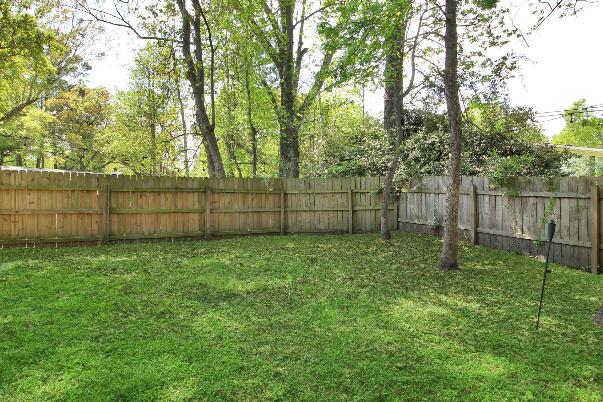 2104 Razorback Lane Photo 41