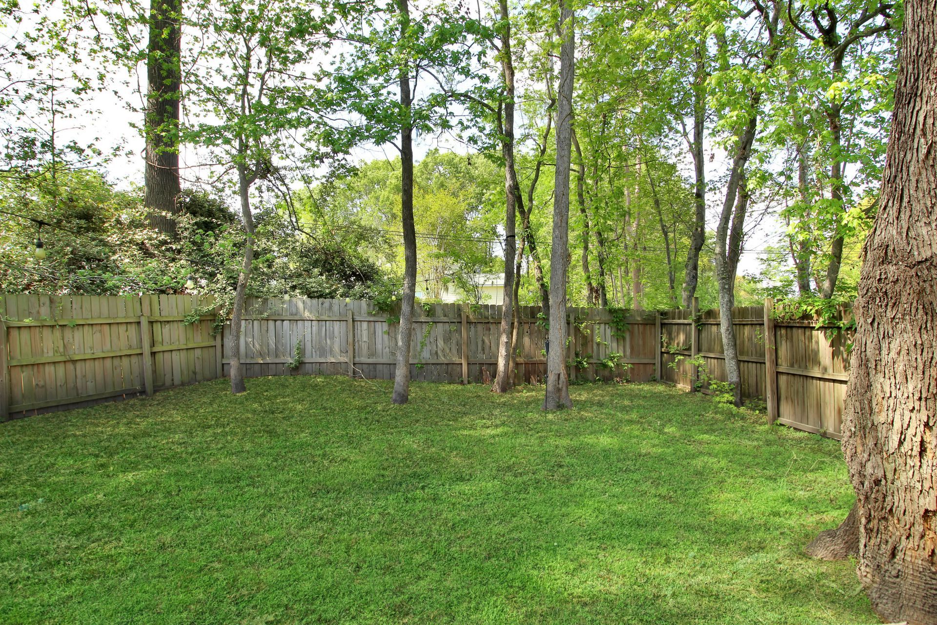 2104 Razorback Lane Photo 43
