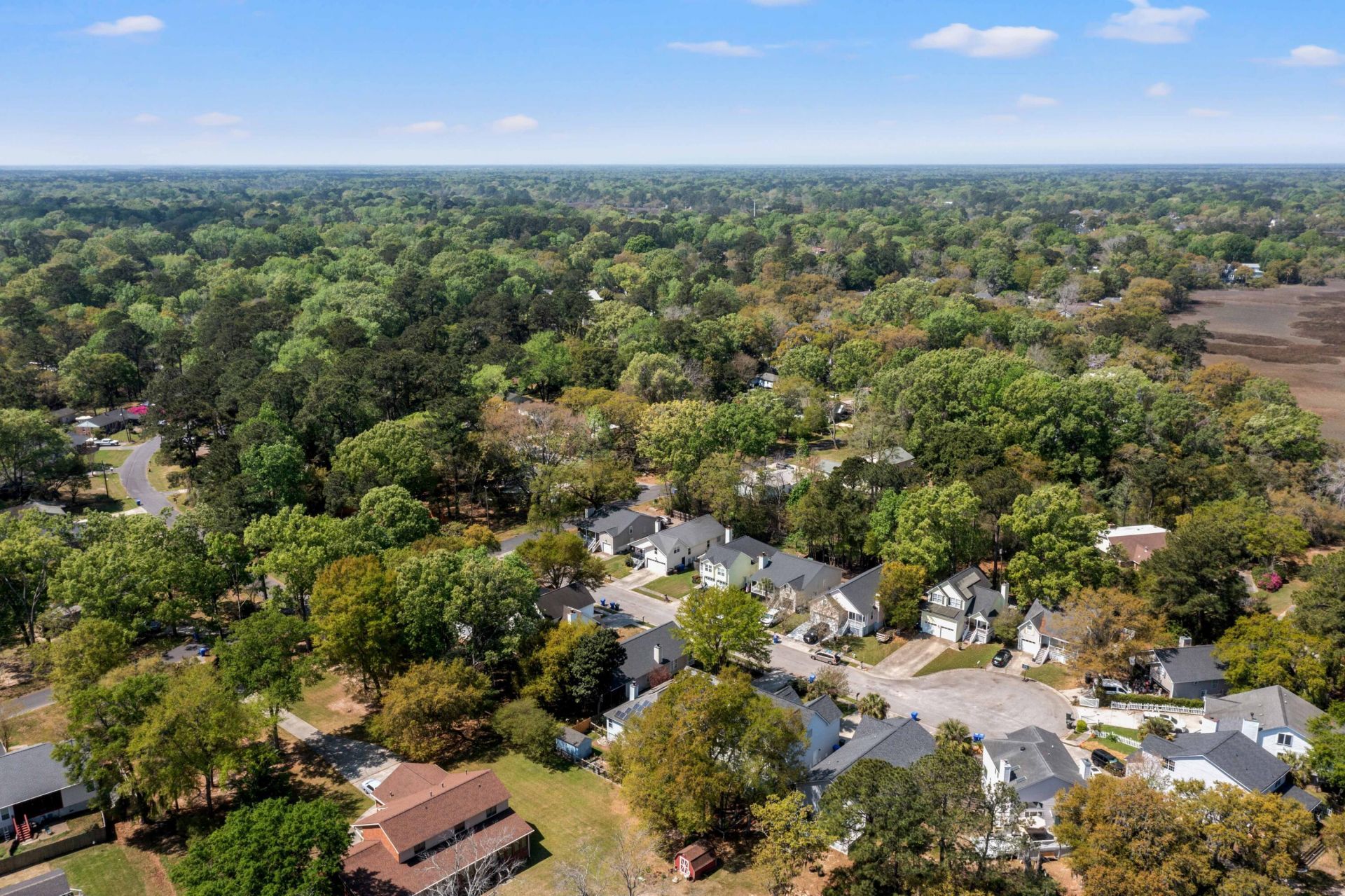 2104 Razorback Lane Photo 45