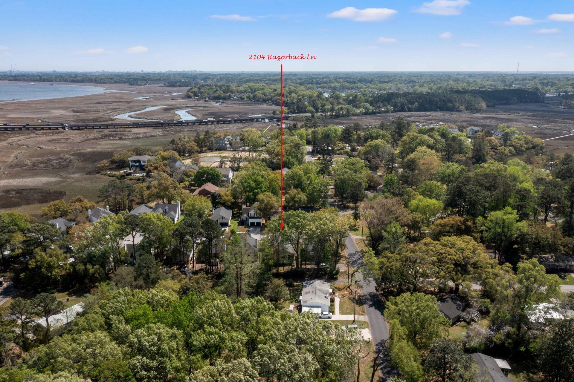 2104 Razorback Lane Photo 52