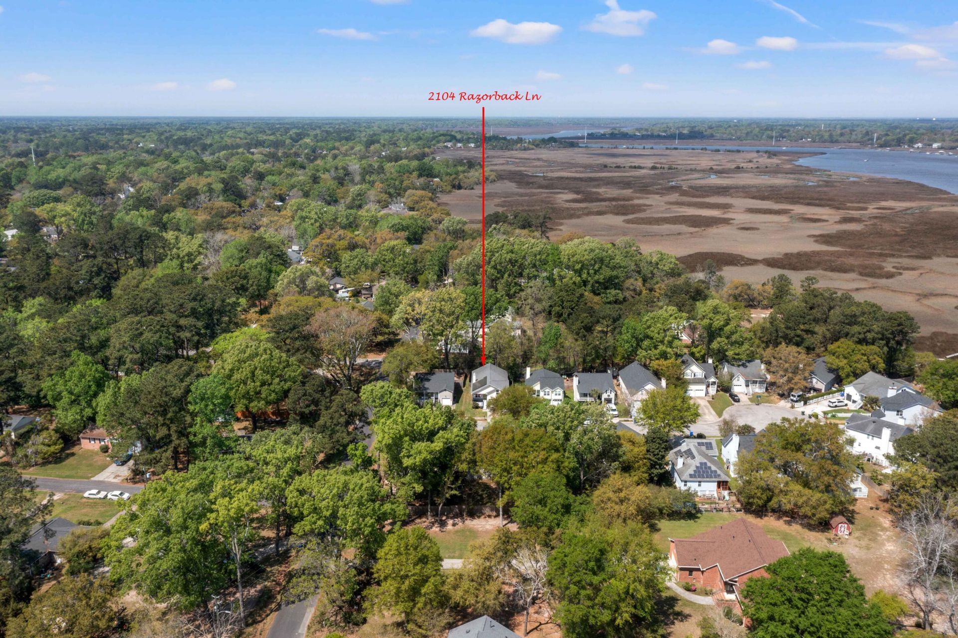 2104 Razorback Lane Photo 53