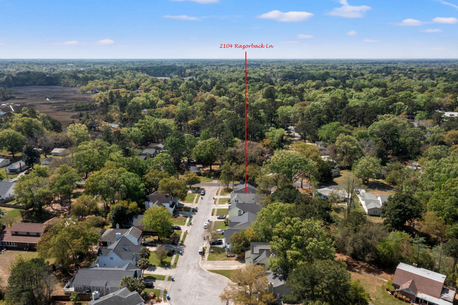 2104 Razorback Lane Photo 54