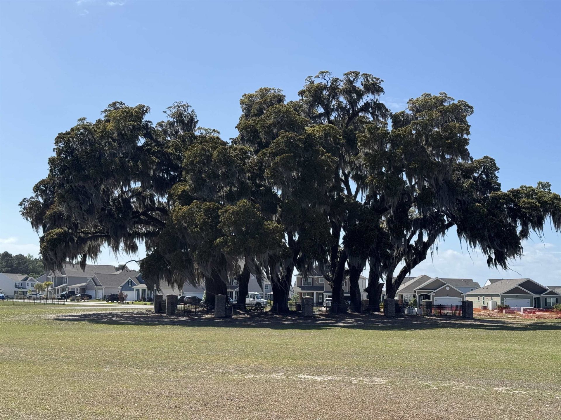 9098 Fort Hill Way Photo 58