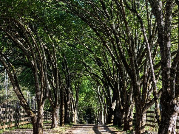 143 Swanson Road, Fayetteville, GA 30214