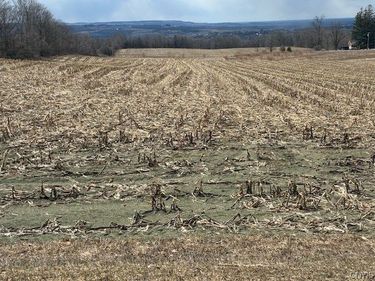 Skyline Drive, Kirkland, NY 13323