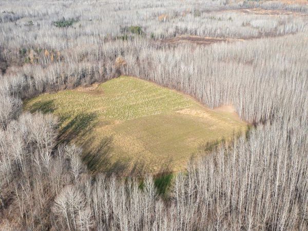 11680 County 59 Road, Orr, MN 55771