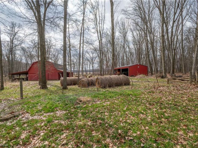 17917 Ellsworth Road, Lake Milton, OH 44429 Photo 39