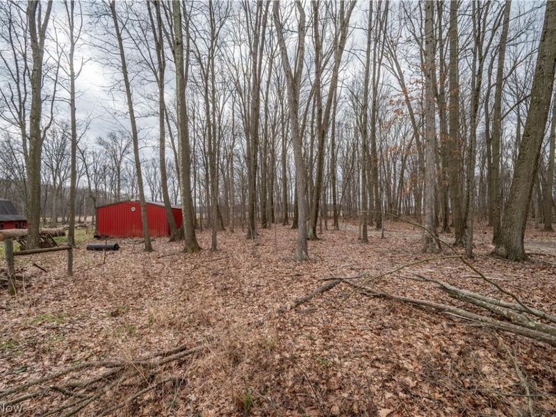 17917 Ellsworth Road, Lake Milton, OH 44429 Photo 50