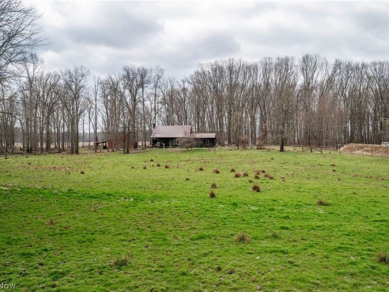 17917 Ellsworth Road, Lake Milton, OH 44429 Photo 8