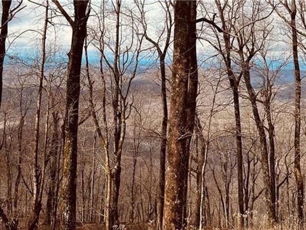 280 Big Stump Mountain Trail , Jasper, GA 30143