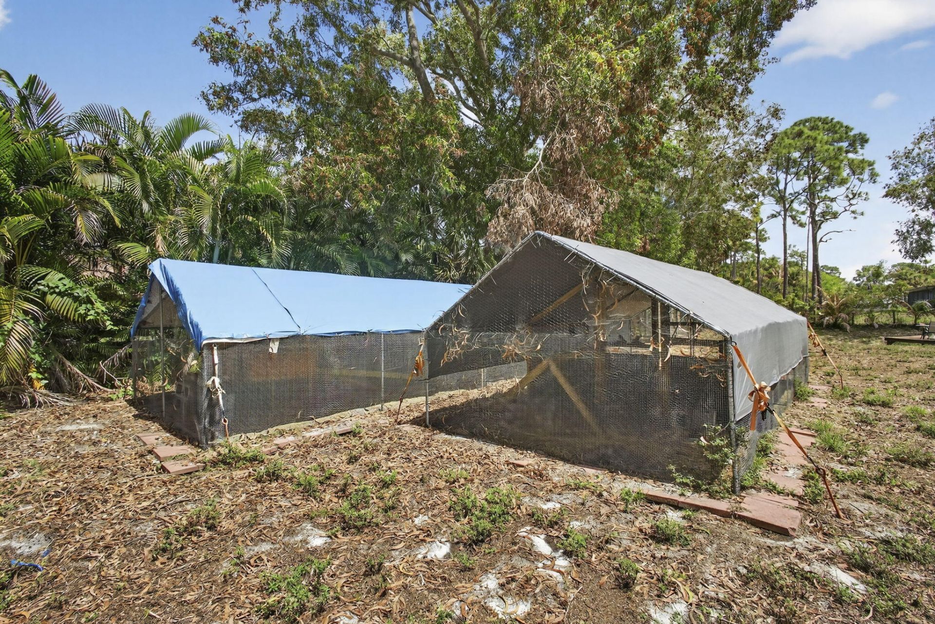17815 92nd Lane N, The Acreage, FL 33470 Photo