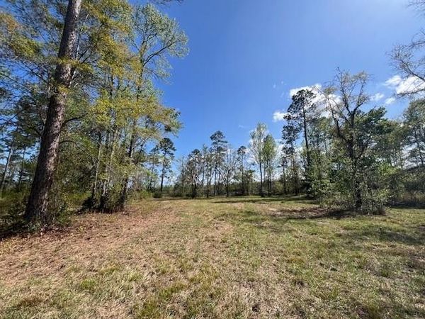 437 Salt Creek Way E, Brunswick, GA 31523